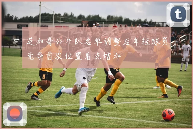 芝加哥公牛队名单调整后年轻球员竞争首发位置看点增加