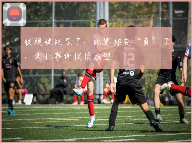 收视破纪录了,比赛却变“真”了,文化事件悄悄成型